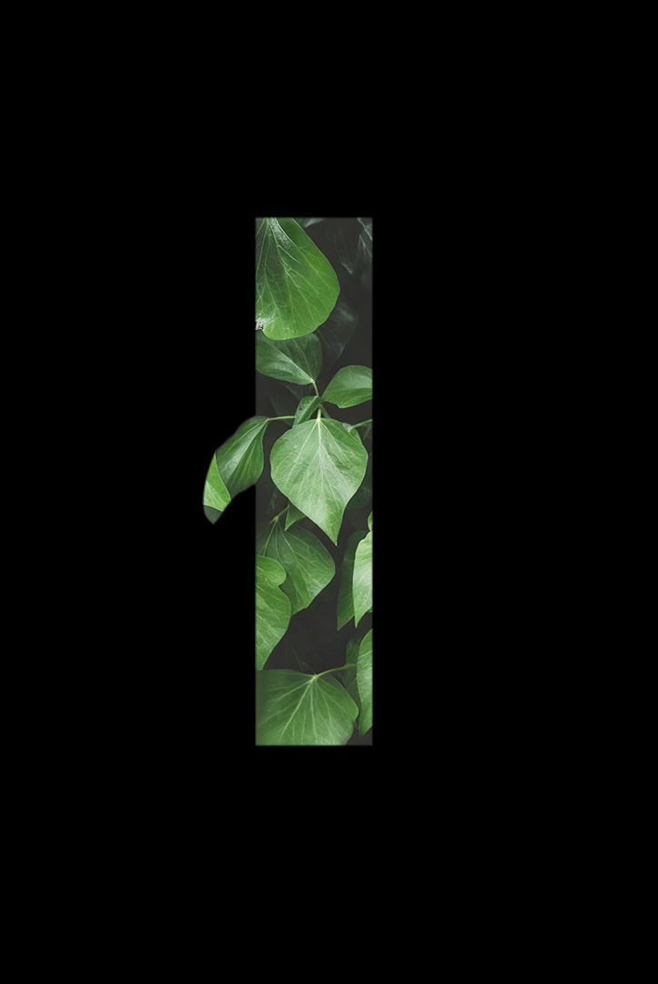 free design mockup, low MOQ custom packaging, ERP integration warehouse, one-by-one fulfillment