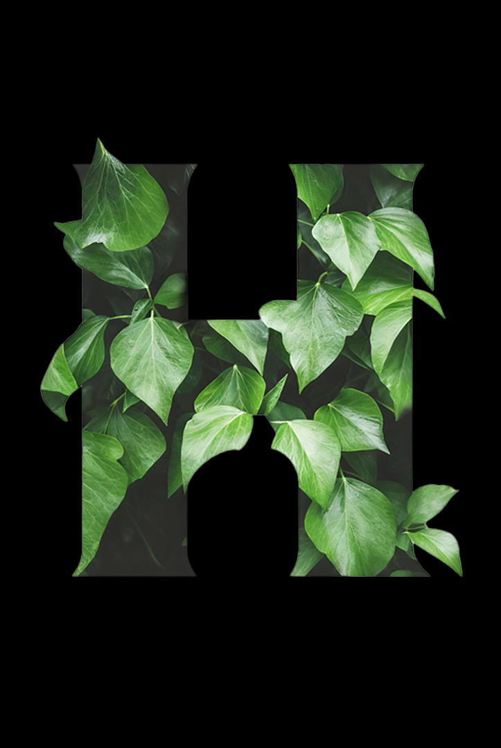 custom packaging workflow, packaging service process, dropshipping packaging, one-stop packaging fulfillment