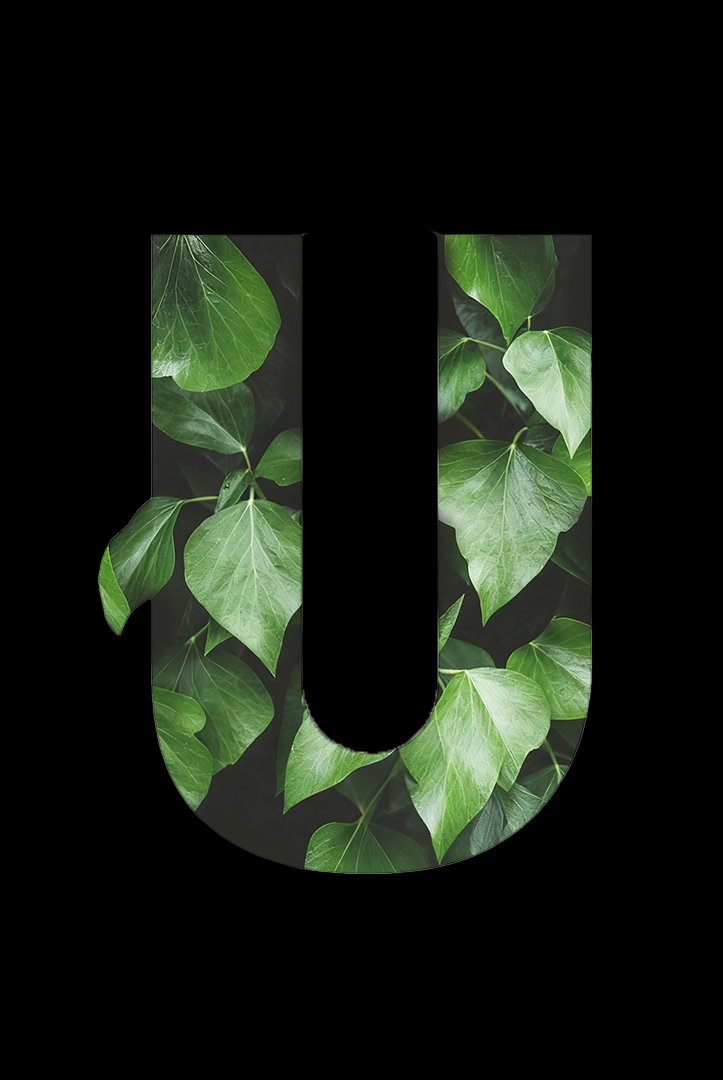 Custom Packaging Service Workflow | HUI Packing One‑Stop Design to Fulfillment